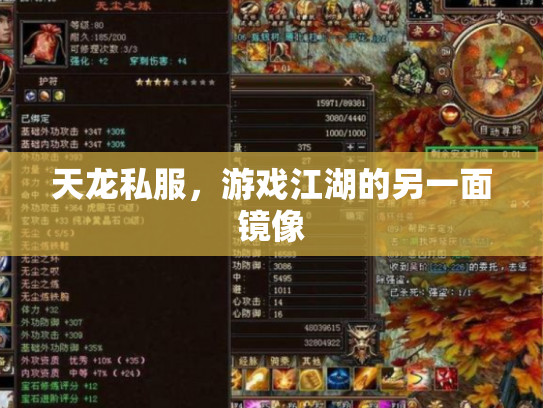 天龙私服，游戏江湖的另一面镜像
