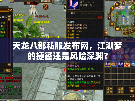 天龙八部私服发布网，江湖梦的捷径还是风险深渊？