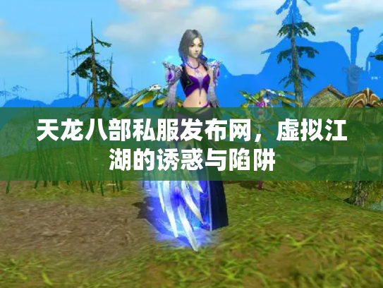 天龙八部私服发布网，虚拟江湖的诱惑与陷阱