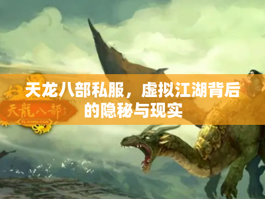 天龙八部私服，虚拟江湖背后的隐秘与现实