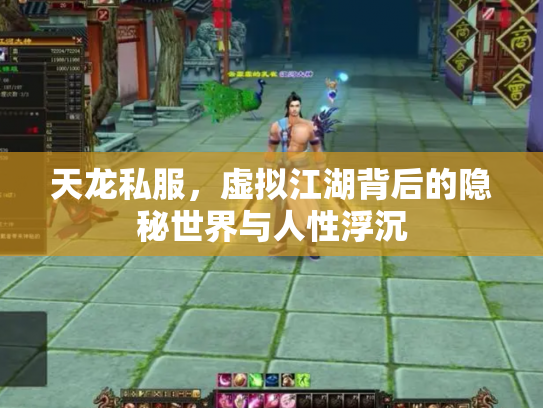 天龙私服，虚拟江湖背后的隐秘世界与人性浮沉