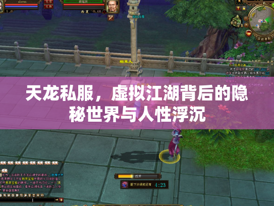 天龙私服，虚拟江湖背后的隐秘世界与人性浮沉