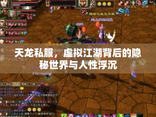 天龙私服，虚拟江湖背后的隐秘世界与人性浮沉