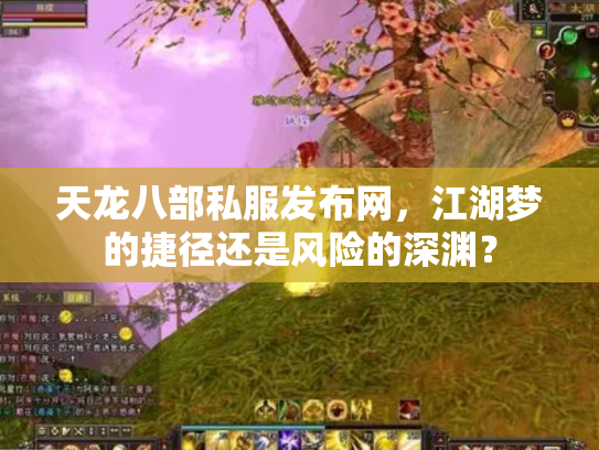 天龙八部私服发布网，江湖梦的捷径还是风险的深渊？
