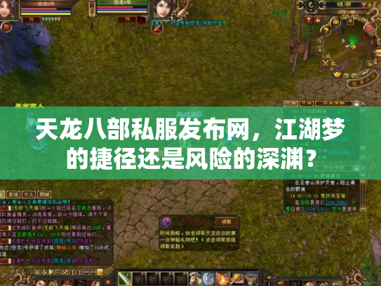 天龙八部私服发布网，江湖梦的捷径还是风险的深渊？