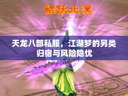天龙八部私服，江湖梦的另类归宿与风险隐忧