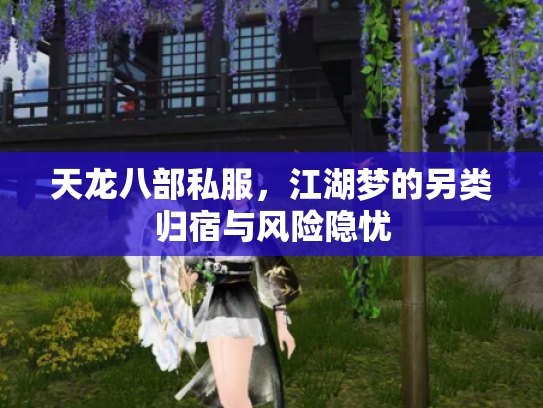 天龙八部私服，江湖梦的另类归宿与风险隐忧