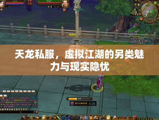 天龙私服，虚拟江湖的另类魅力与现实隐忧
