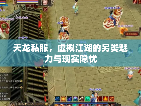 天龙私服，虚拟江湖的另类魅力与现实隐忧