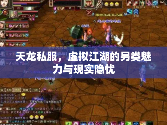 天龙私服，虚拟江湖的另类魅力与现实隐忧