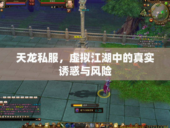 天龙私服，虚拟江湖中的真实诱惑与风险