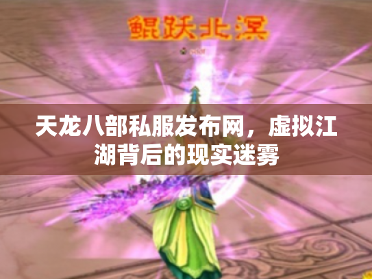 天龙八部私服发布网，虚拟江湖背后的现实迷雾