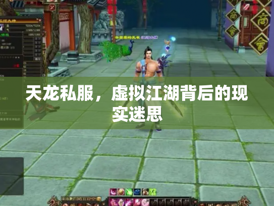 天龙私服，虚拟江湖背后的现实迷思