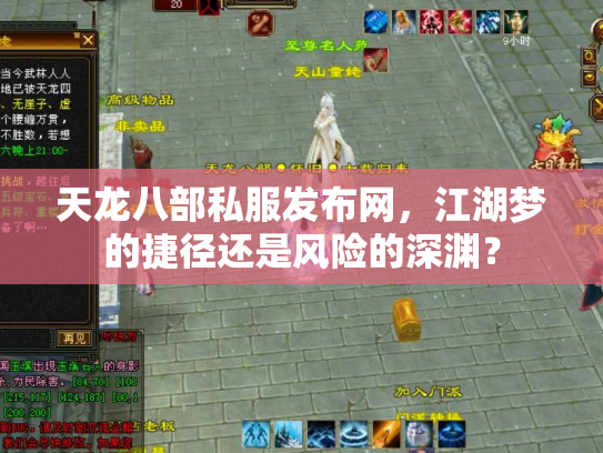 天龙八部私服发布网，江湖梦的捷径还是风险的深渊？