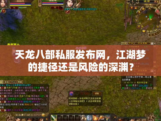 天龙八部私服发布网，江湖梦的捷径还是风险的深渊？