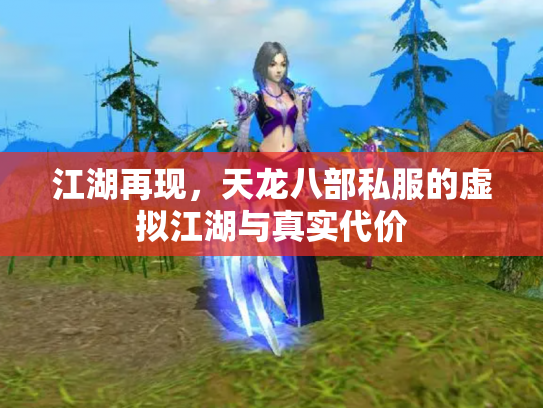 江湖再现，天龙八部私服的虚拟江湖与真实代价