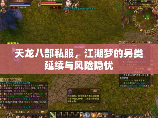 天龙八部私服，江湖梦的另类延续与风险隐忧
