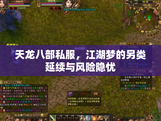 天龙八部私服，江湖梦的另类延续与风险隐忧
