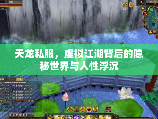 天龙私服，虚拟江湖背后的隐秘世界与人性浮沉