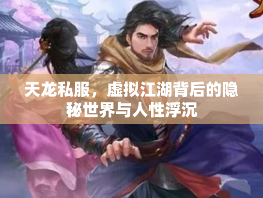 天龙私服，虚拟江湖背后的隐秘世界与人性浮沉