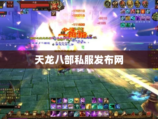 天龙八部私服发布网