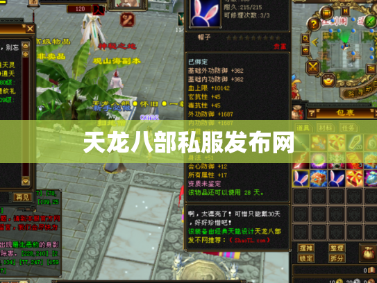 天龙八部私服发布网