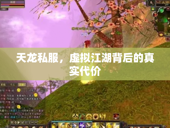 天龙私服，虚拟江湖背后的真实代价