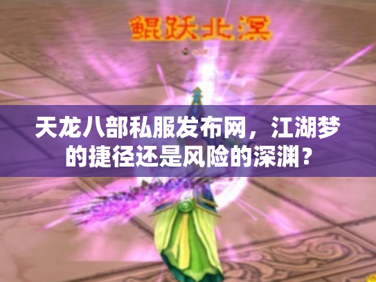 天龙八部私服发布网，江湖梦的捷径还是风险的深渊？