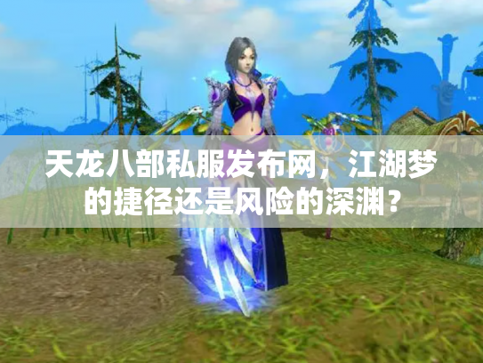 天龙八部私服发布网，江湖梦的捷径还是风险的深渊？