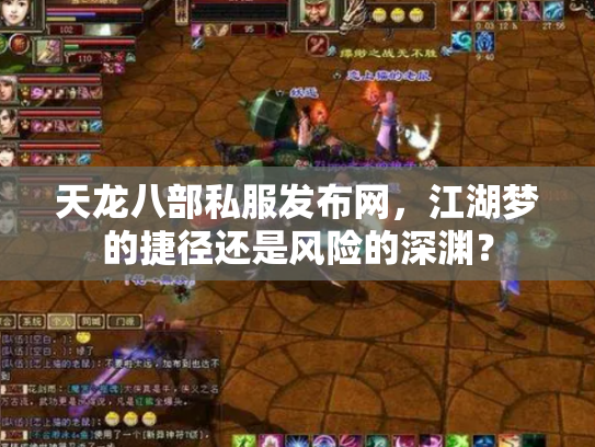 天龙八部私服发布网，江湖梦的捷径还是风险的深渊？