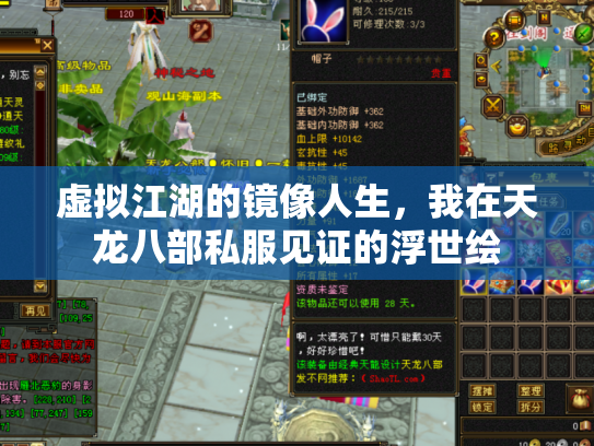 虚拟江湖的镜像人生，我在天龙八部私服见证的浮世绘
