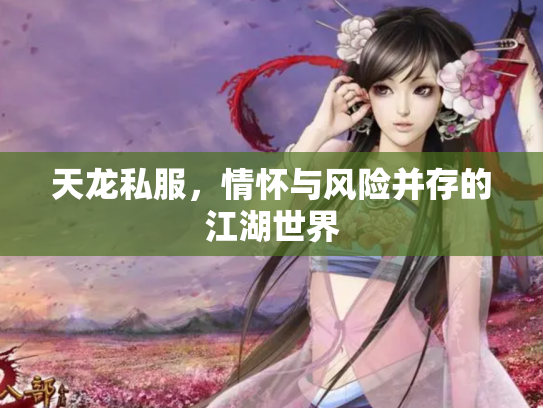天龙私服，情怀与风险并存的江湖世界