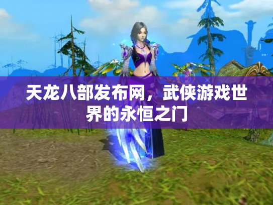 天龙八部发布网，武侠游戏世界的永恒之门
