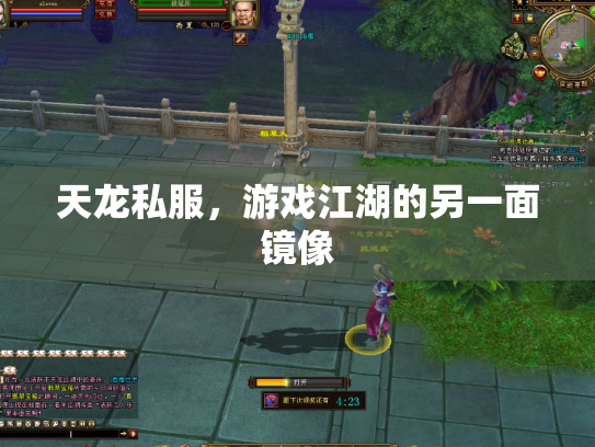 天龙私服，游戏江湖的另一面镜像