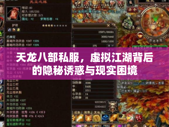 天龙八部私服，虚拟江湖背后的隐秘诱惑与现实困境
