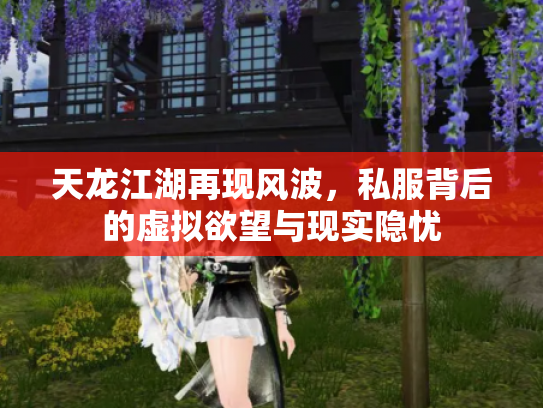 天龙江湖再现风波，私服背后的虚拟欲望与现实隐忧