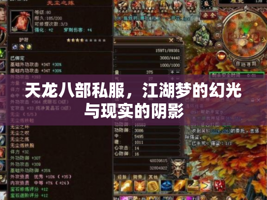 天龙八部私服，江湖梦的幻光与现实的阴影