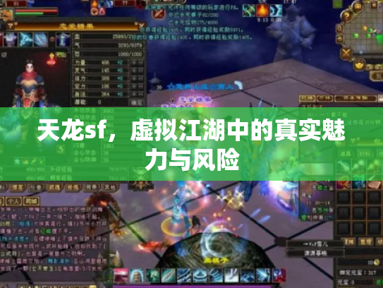 天龙sf，虚拟江湖中的真实魅力与风险