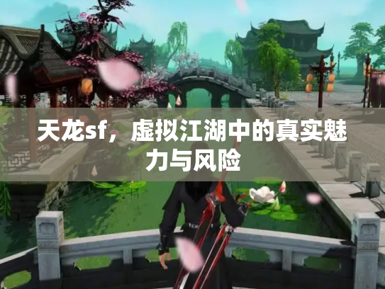 天龙sf，虚拟江湖中的真实魅力与风险