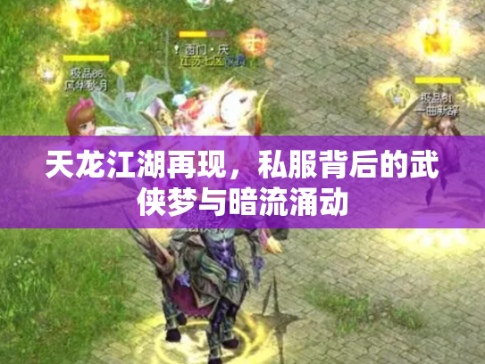 天龙江湖再现，私服背后的武侠梦与暗流涌动