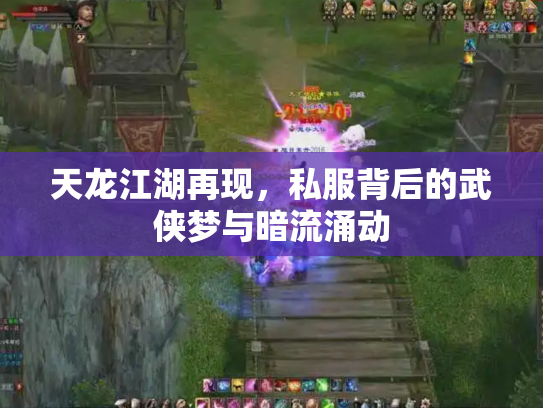 天龙江湖再现，私服背后的武侠梦与暗流涌动