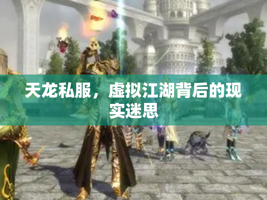 天龙私服，虚拟江湖背后的现实迷思