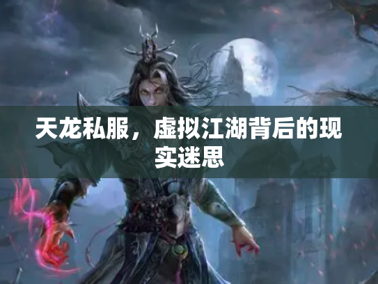 天龙私服，虚拟江湖背后的现实迷思
