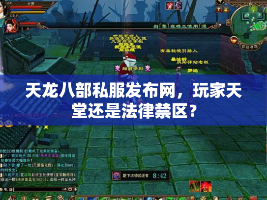 天龙八部私服发布网，玩家天堂还是法律禁区？