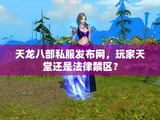 天龙八部私服发布网，玩家天堂还是法律禁区？