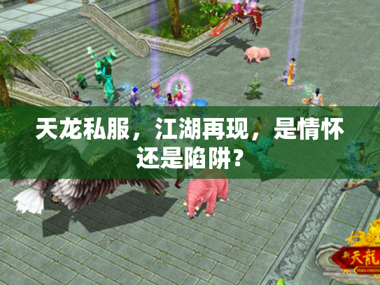 天龙私服，江湖再现，是情怀还是陷阱？