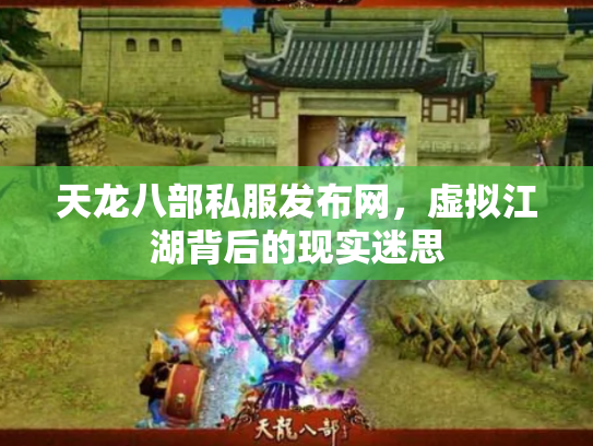 天龙八部私服发布网，虚拟江湖背后的现实迷思