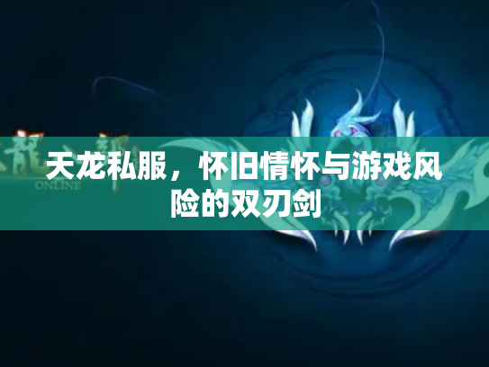 天龙私服，怀旧情怀与游戏风险的双刃剑