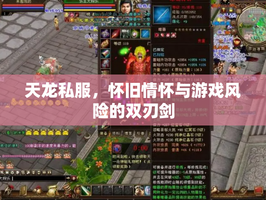 天龙私服，怀旧情怀与游戏风险的双刃剑