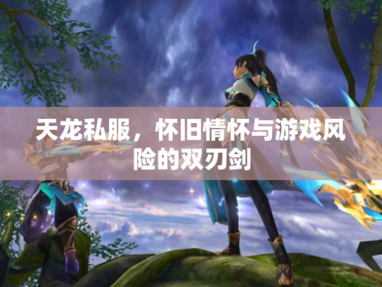 天龙私服，怀旧情怀与游戏风险的双刃剑